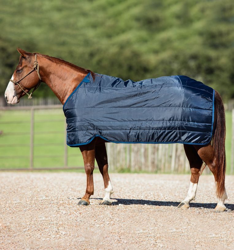 Pferdedecke, blau mit blauer Umrandung, auf einem Pferd. Steppdesign.