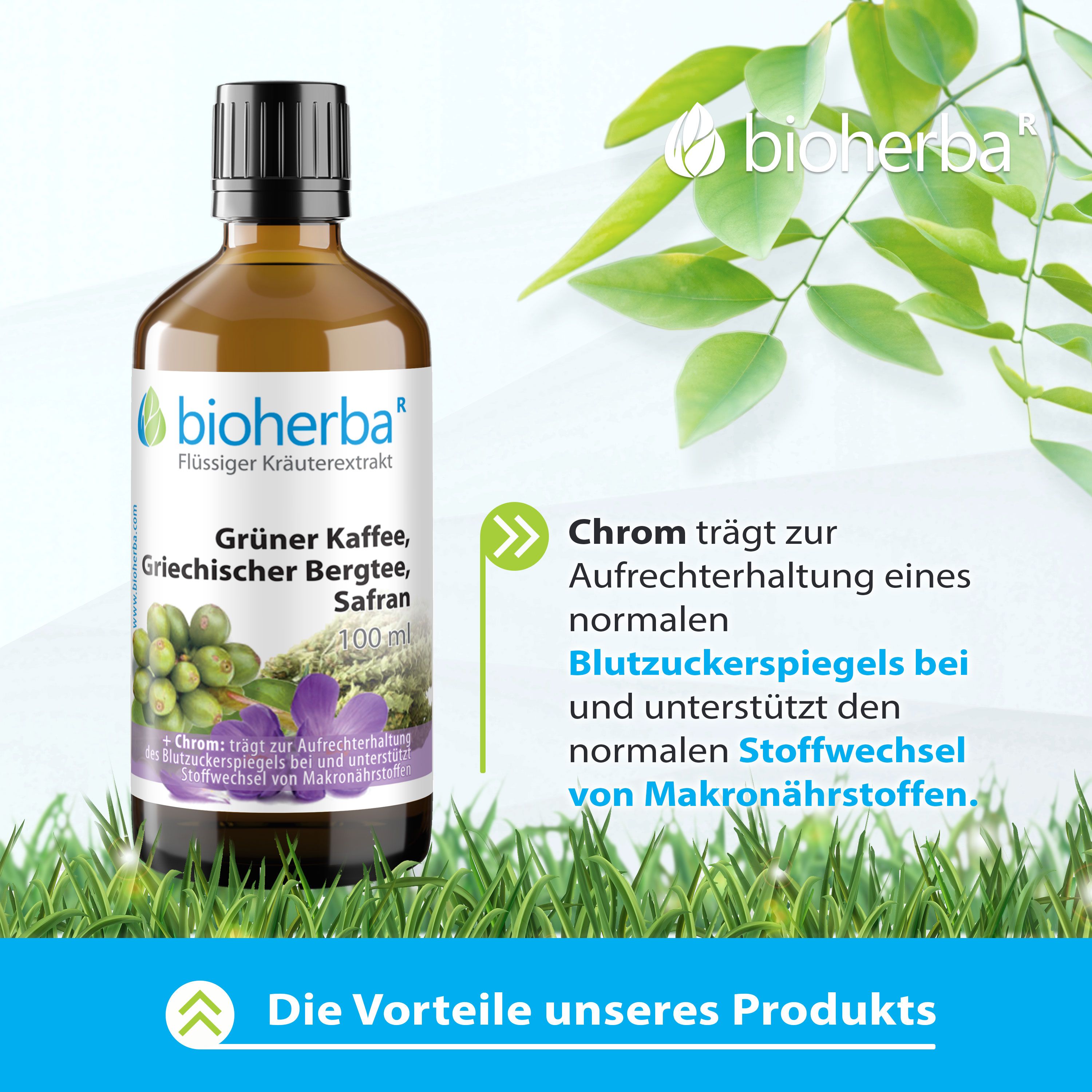 Bioherba Grüner Kaffee Griechischer Bergtee Safran Tropfen Tinktur