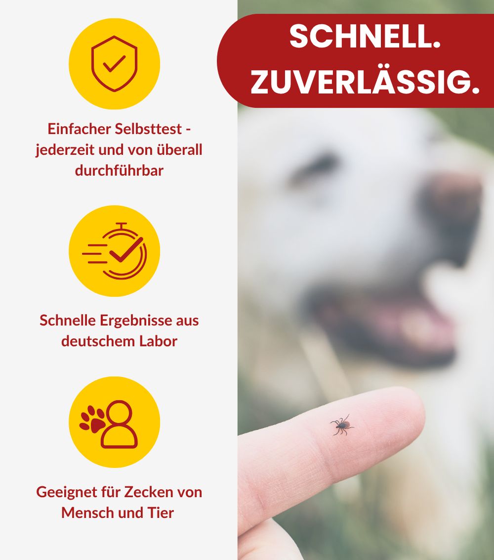 Gelbe Kreise mit Text: Einfacher Selbsttest, schnelle Ergebnisse, geeignet für Mensch und Tier. Zecke auf Finger.
