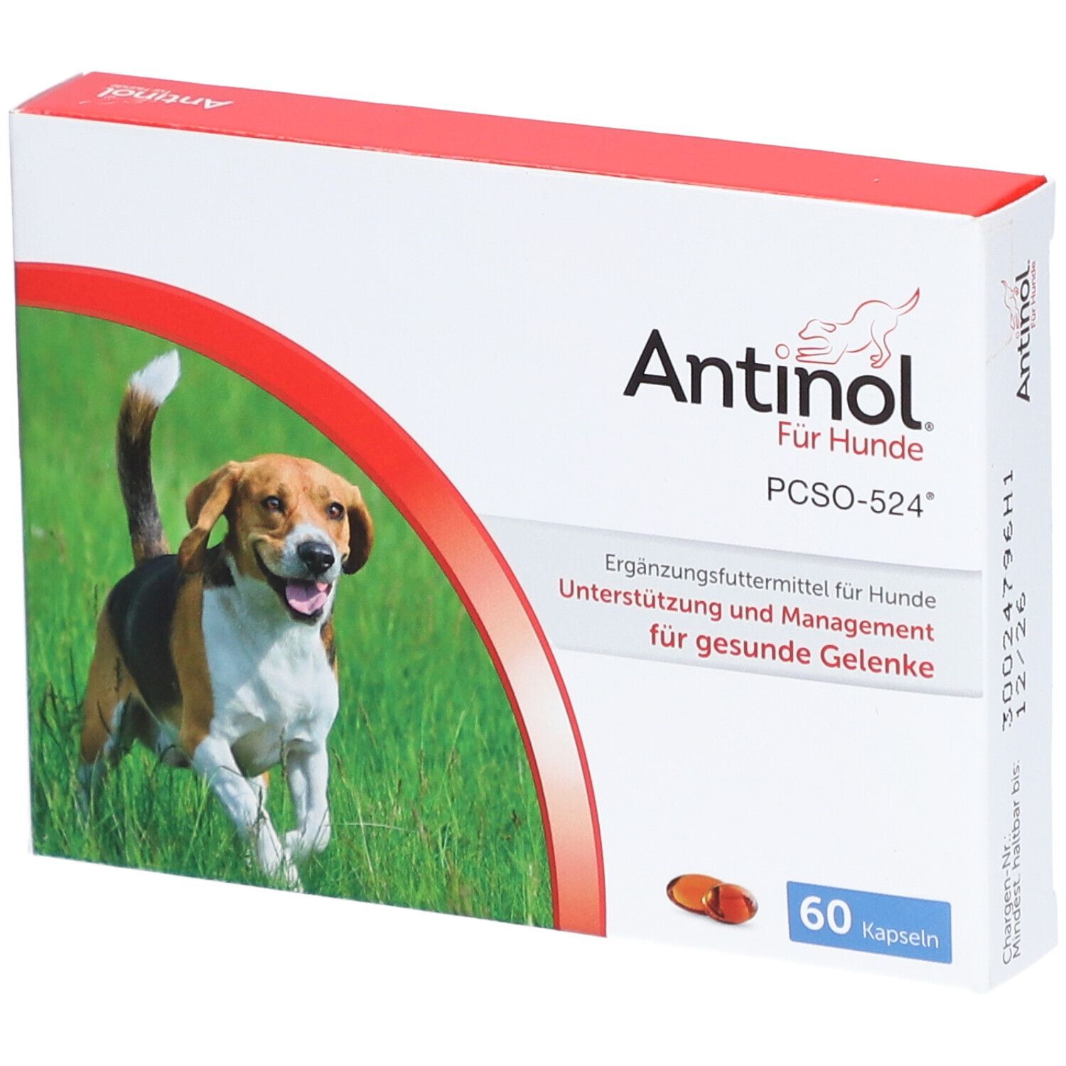 Antinol® Pour chiens