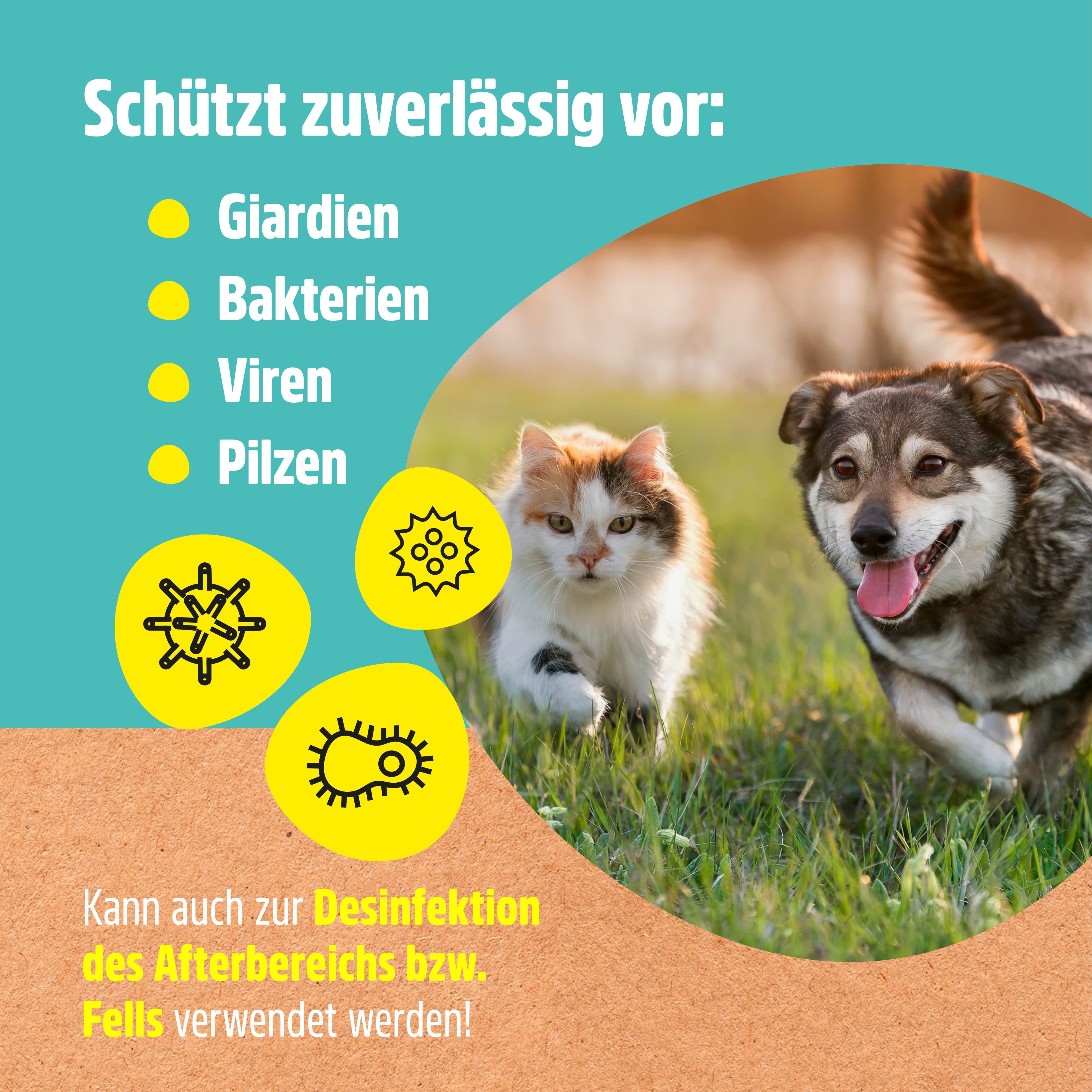 Katze und Hund laufen im Gras. Gelbe Symbole für Giardien, Bakterien, Viren und Pilze.