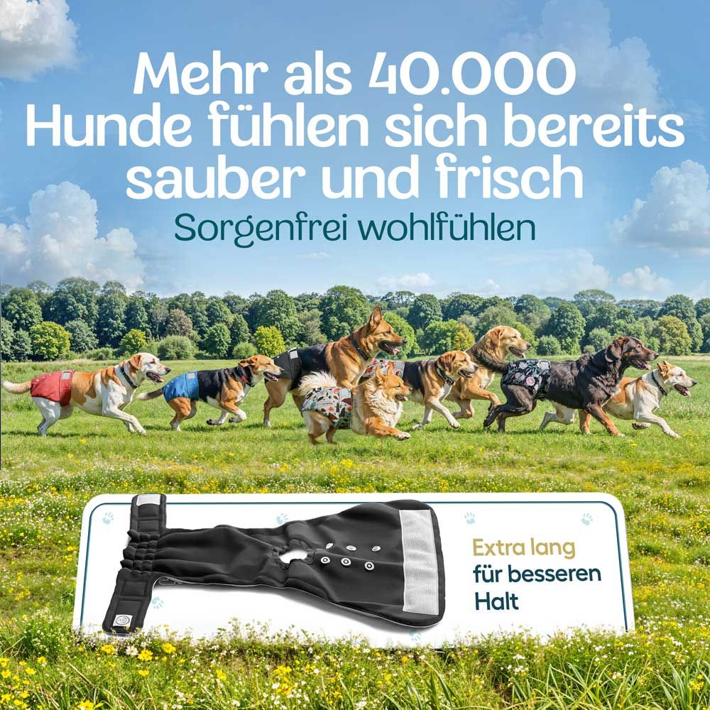 Mehrere Hunde auf einer Wiese, tragen Windeln. Text: Mehr als 40.000 Hunde fühlen sich sauber und frisch.