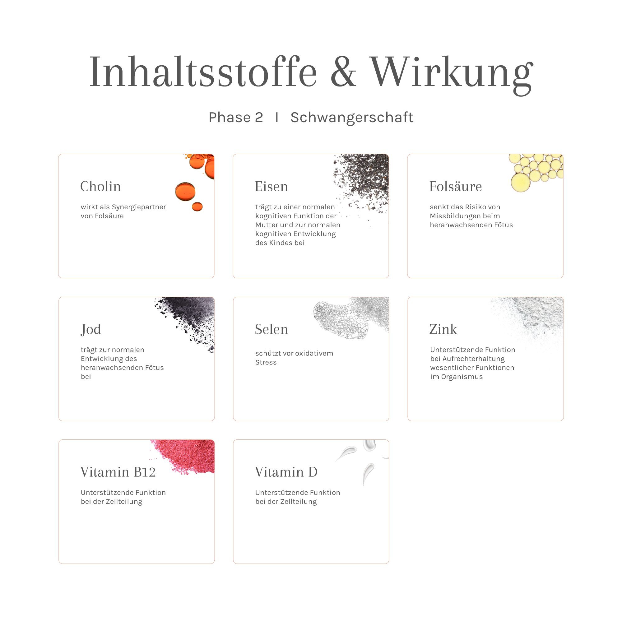 Infografik mit Inhaltsstoffen und Wirkung. Phase 2 Schwangerschaft. Einzelne Kacheln mit Inhaltsstoffen: Cholin, Eisen, Folsäure, Jod, Selen, Zink, Vitamin B12, D.