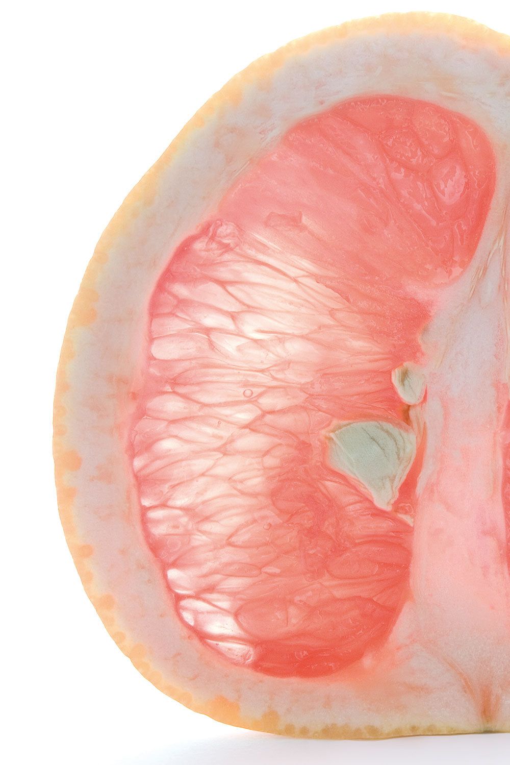 GSE CitroPlus® 1200 - Grapefruitkernextrakt (Bio)