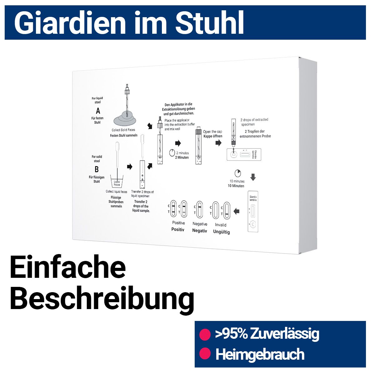 Rückseite der Verpackung mit schematischer Anleitung. Text: Einfache Beschreibung, positiv, negativ, ungültig. Qualitätszeichen.