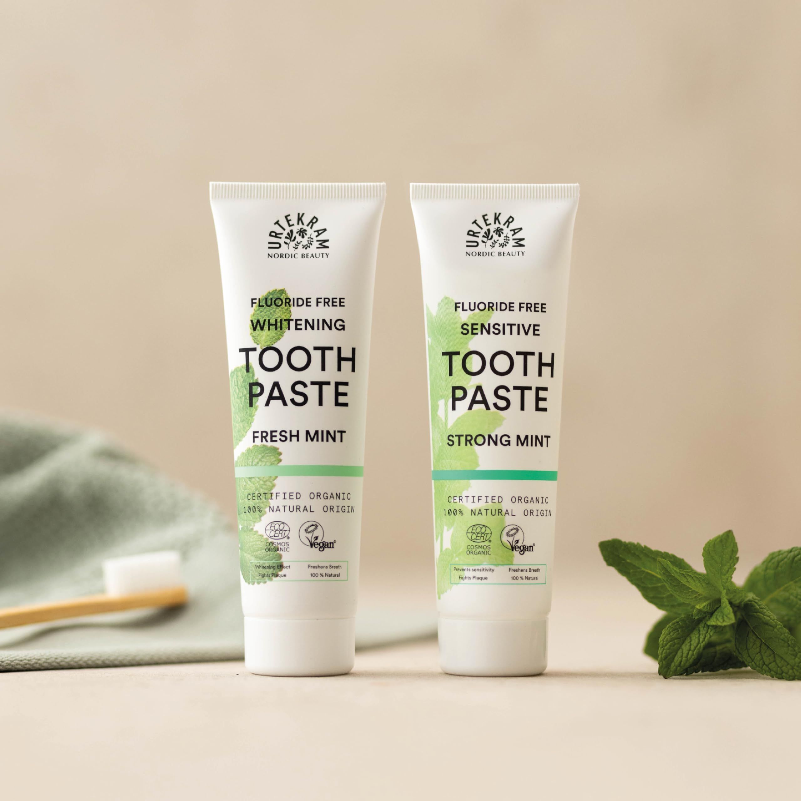 Zwei Zahnpasta-Tuben. Eine mit Fresh Mint, die andere mit Strong Mint. Beide mit grüner Schrift und ECOCERT-Zertifizierung.