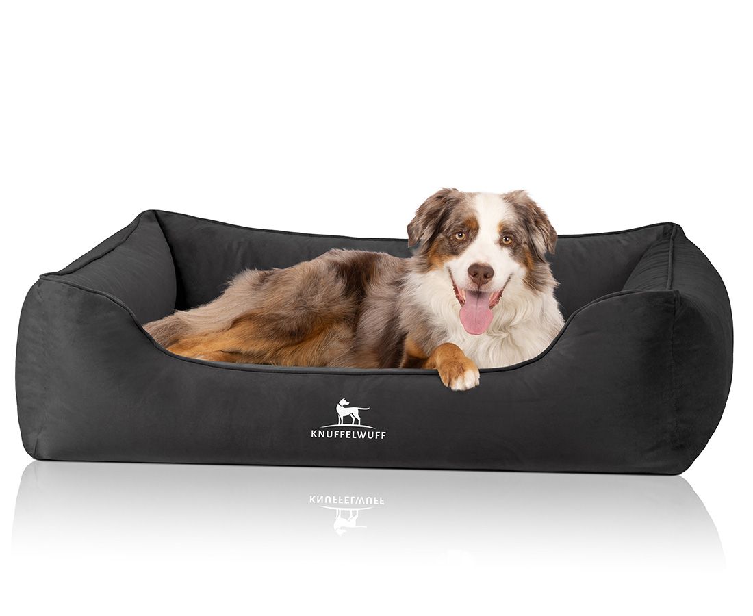 Hund liegt in orthopädischem Hundebett Jona. Dunkelgrau. Rechteckige Form mit erhöhten Seiten. Knuffelwuff Logo. Auf weißem Hintergrund.