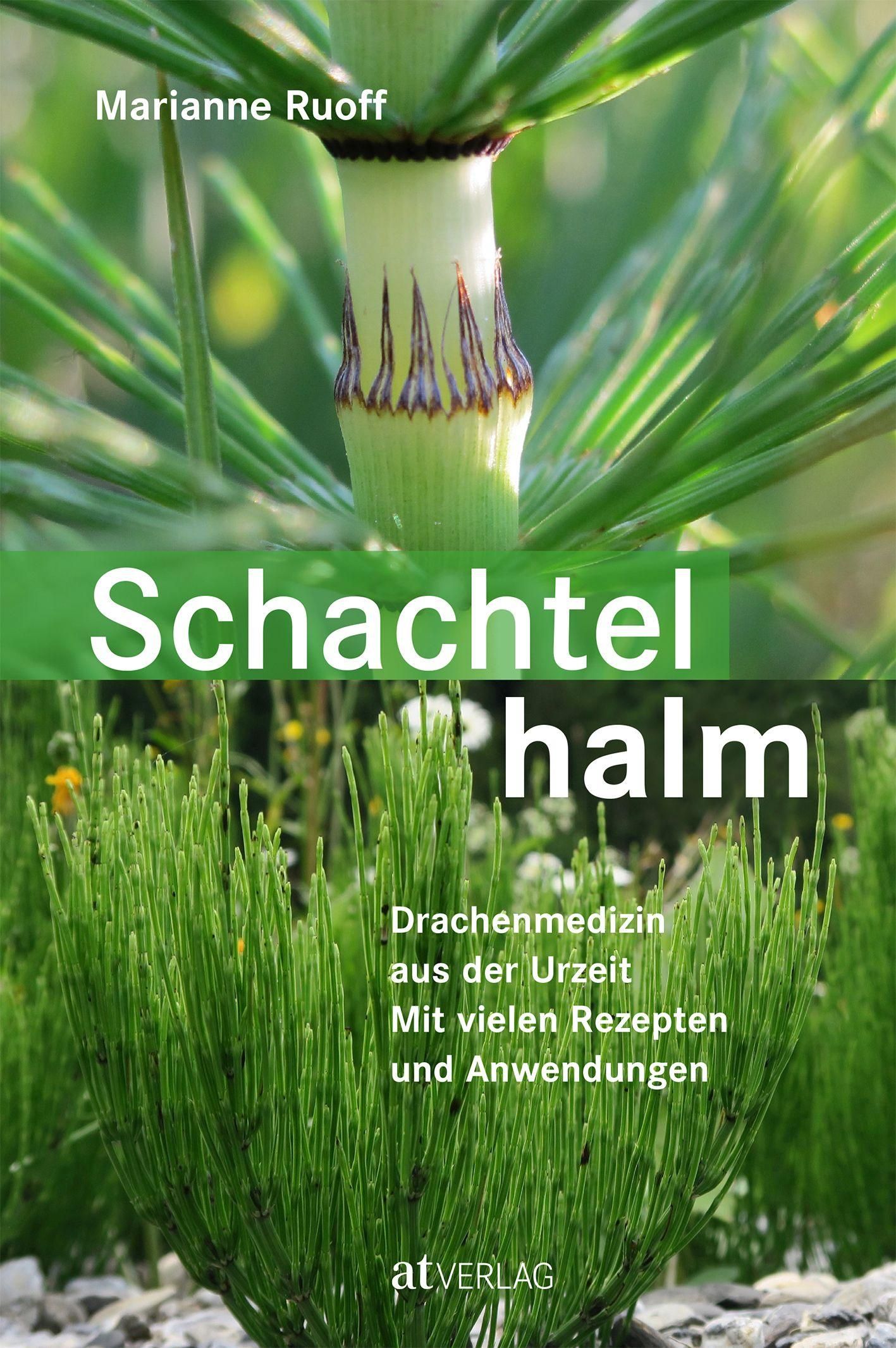Buchcover mit dem Titel "Schachtelhalm". Autorin: Marianne Ruoff. Untertitel: Drachenmedizin aus der Urzeit. Verlag: atVERLAG. Pflanzenabbildung.