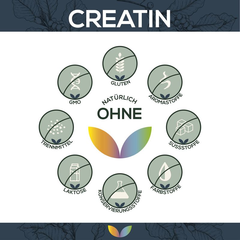 Kreisförmige Symbole mit der Aufschrift: Ohne GMO, Gluten, Aromastoffe, Süßstoffe, Trennmittel, Laktose, Konservierungsstoffe, Farbstoffe.