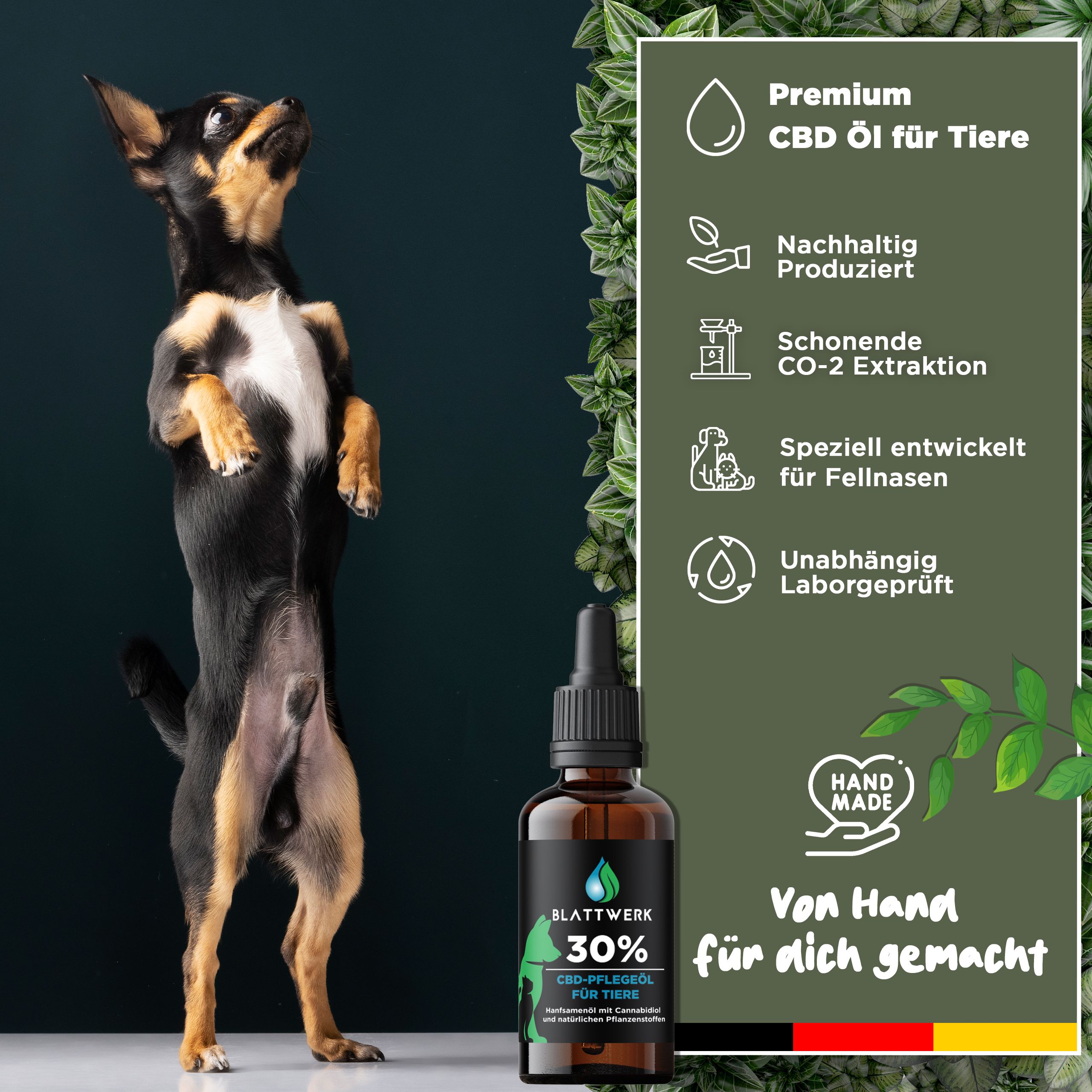 30% CBD Öl für Hunde & Katzen - Deutsche Qualität - CBD Öl Hund - 10ml - 250 CBD Tropfen - BLATTWERK