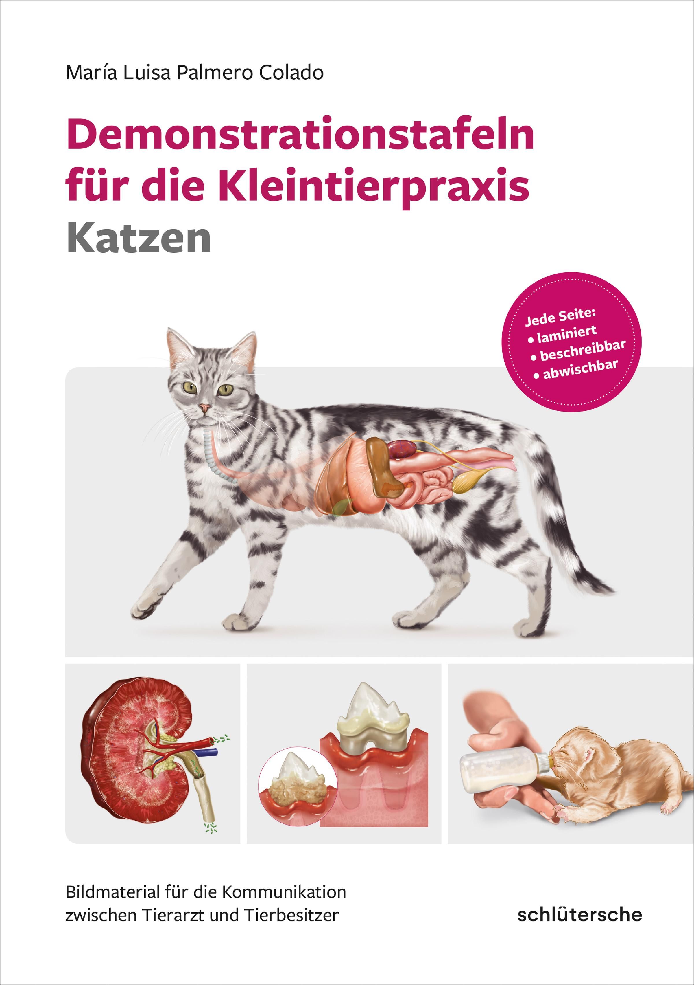 Demonstrationstafeln für die Kleintierpraxis Katzen Bildmaterial für die Kommunikation zwischen T...