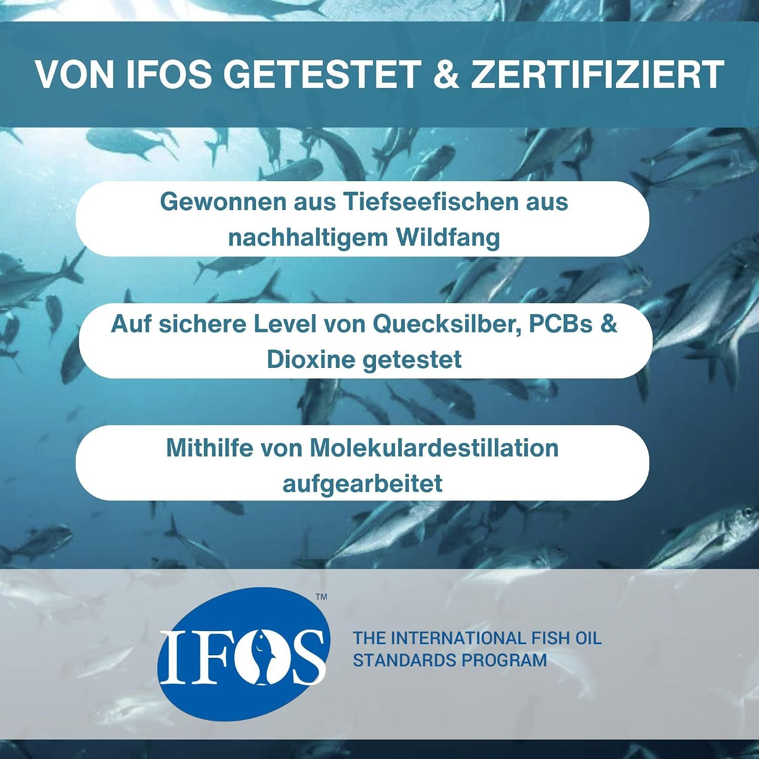 Deutsche Grafik: Zelluläre Werte steigen 3,5x mehr mit rTG Omega-3.
