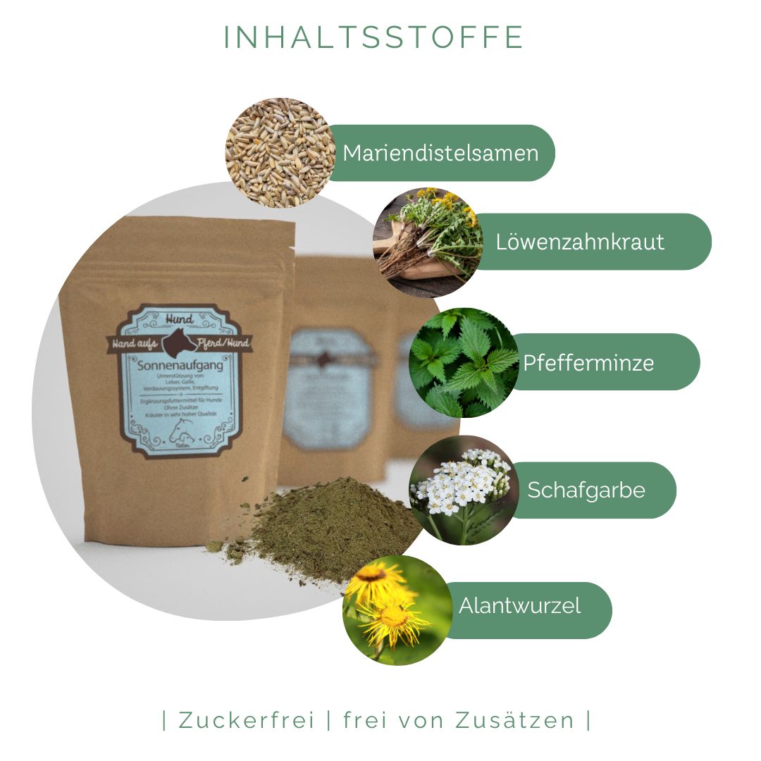 Produktbeutel mit Kräutermischung und Inhaltsstoffe. Mariendistelsamen, Löwenzahnkraut, Pfefferminze, Schafgarbe, Alantwurzel.