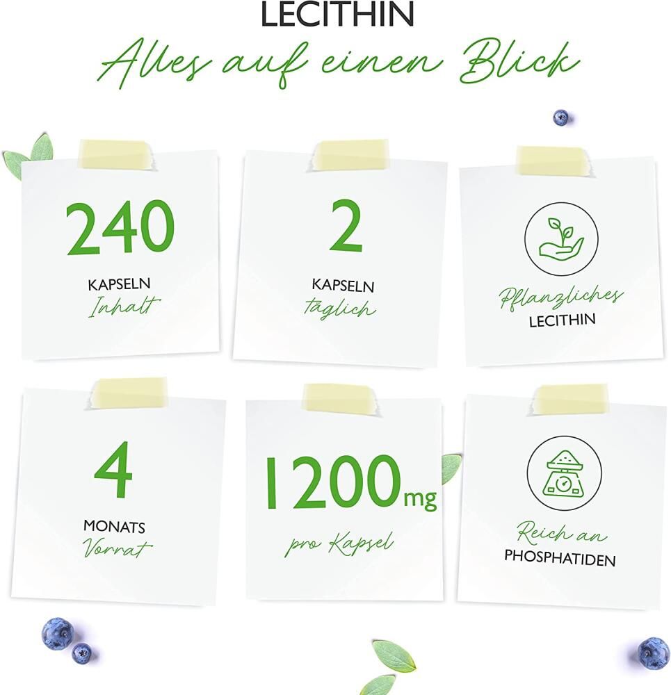 Infografik: 6 Notizen mit Informationen zu Lecithin-Kapseln. 240 Kapseln, 2 täglich, pflanzliches Lecithin, 4 Monate Vorrat, 1200mg pro Kapsel.