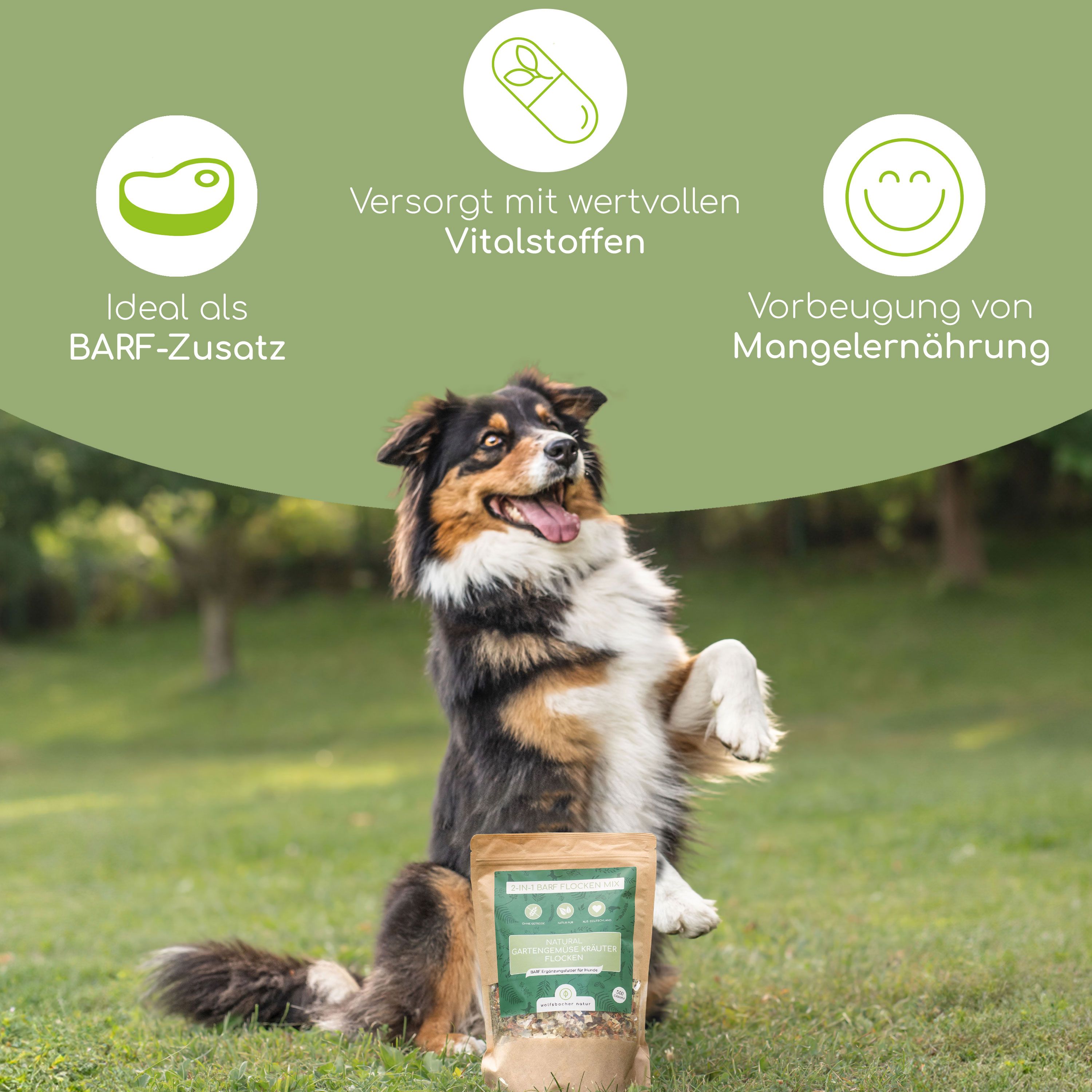 Hund mit "Natural Gartengemüse Kräuter Flocken" Beutel. Icons: Fleisch, Vitamine, Mangelernährung. Hund steht auf Hinterbeinen.