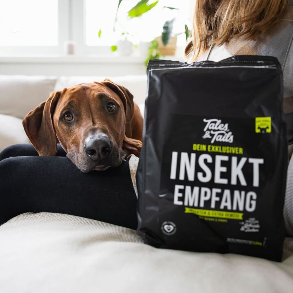 Tales & Tails Dein exklusiver InSektempfang - Softes Trockenfutter mit Insekt