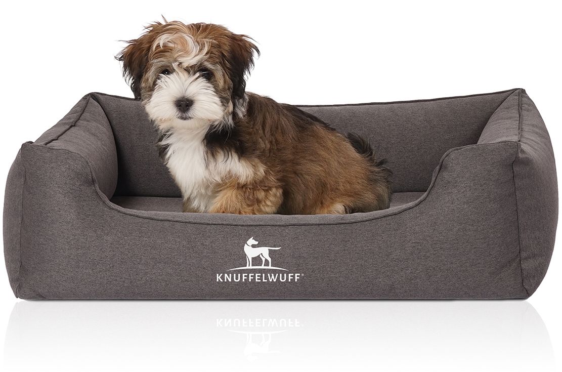 Knuffelwuff Orthopädisches Hundebett Leano