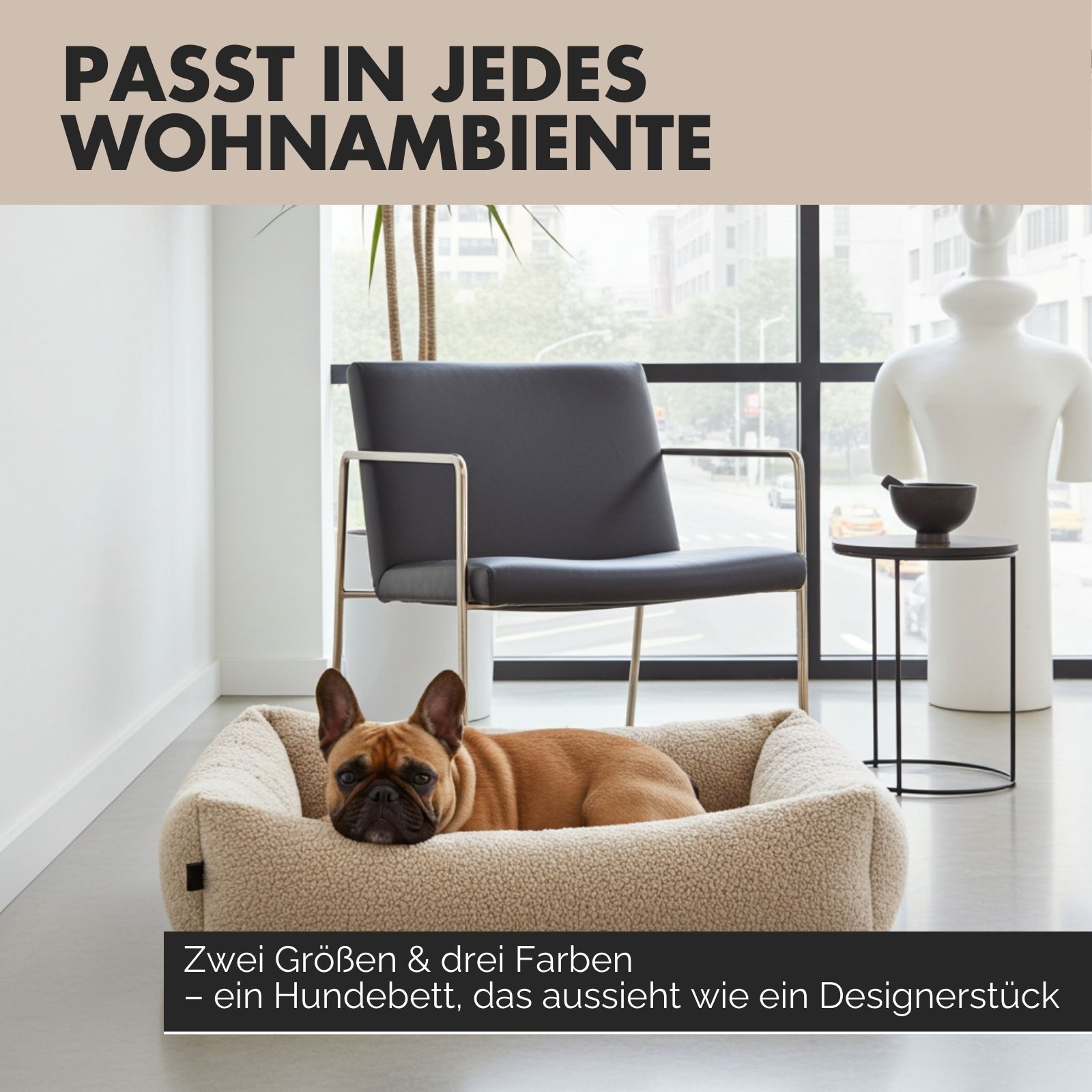 Beiges Hundebett in Wohnumgebung. Hund liegt im Bett. Text: Zwei Größen & drei Farben.