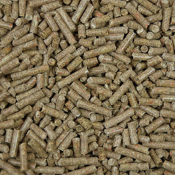 Nahaufnahme von zylindrischen, braunen Pellets. Texturierte Oberfläche. Viele kleine Pellets liegen dicht beieinander.