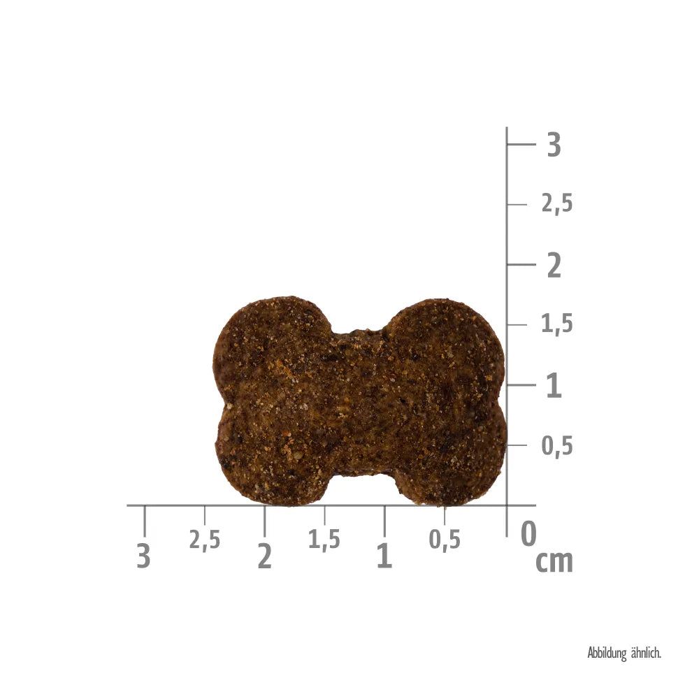 Brit Care Dog - Crunchy Cracker - Insects with Lamb enriched with Raspberries