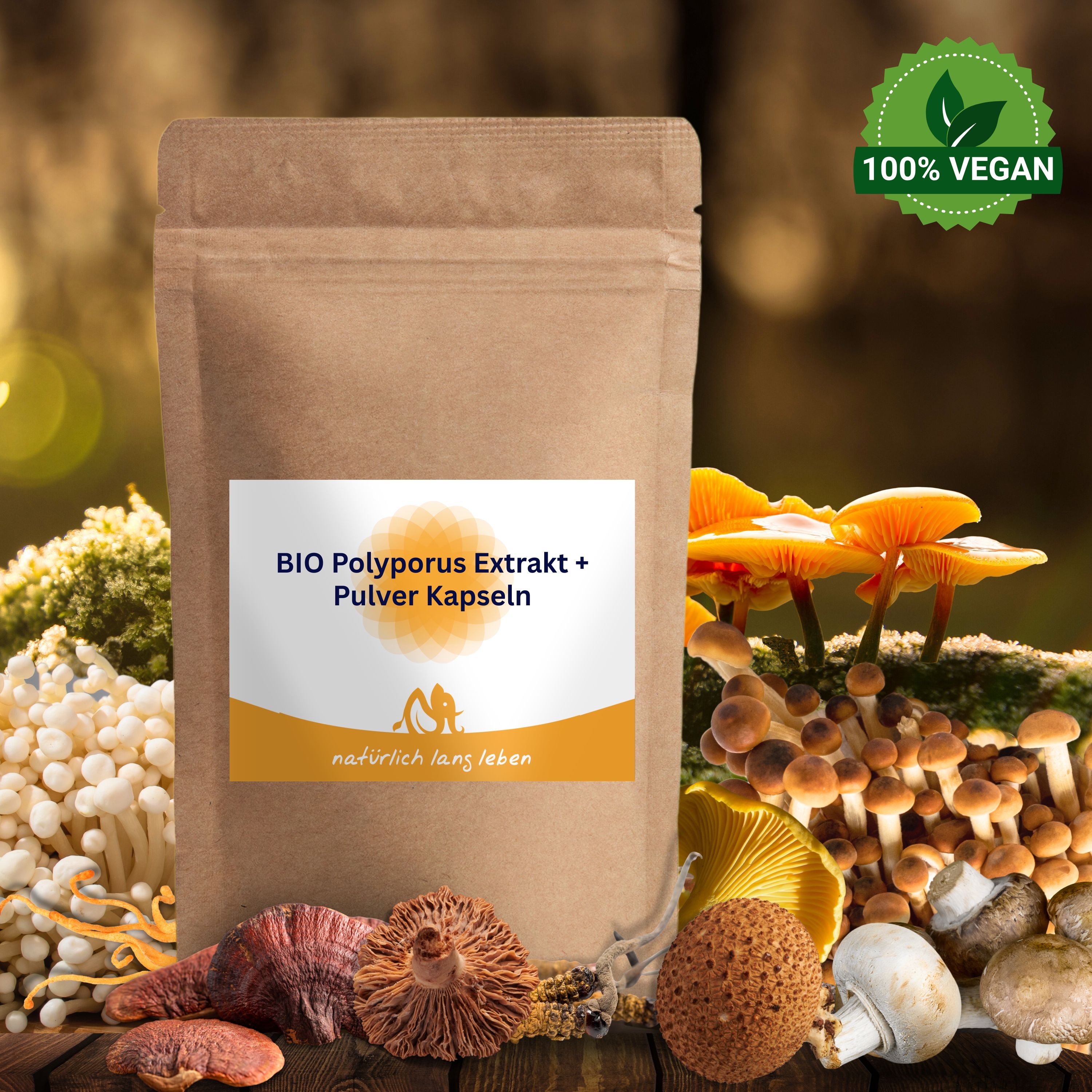Braune Papierverpackung mit Etikett. Aufschrift: BIO Polyporus Extrakt + Pulver Kapseln. Logo: Sonne und Figur. 100% Vegan-Siegel.
