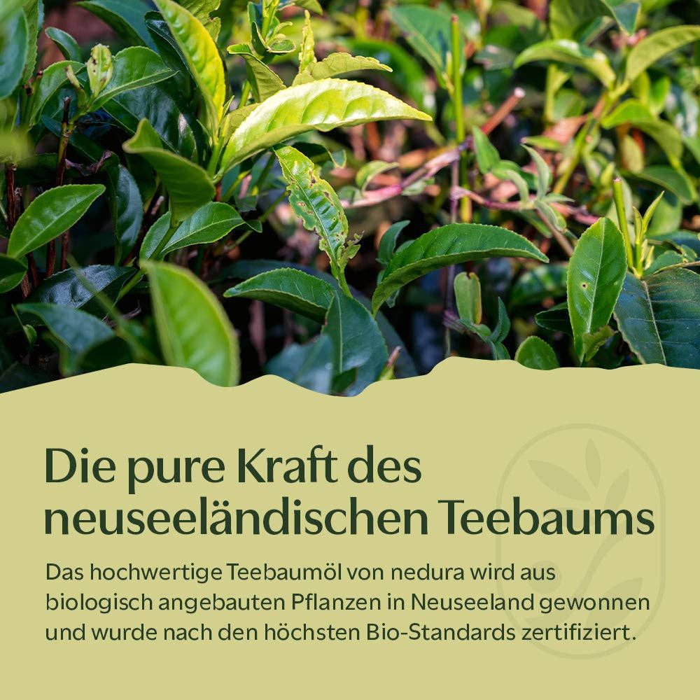 Nahaufnahme von grünen Teebaumblättern. Text: Die pure Kraft des neuseeländischen Teebaums. Bio-Standards zertifiziert.