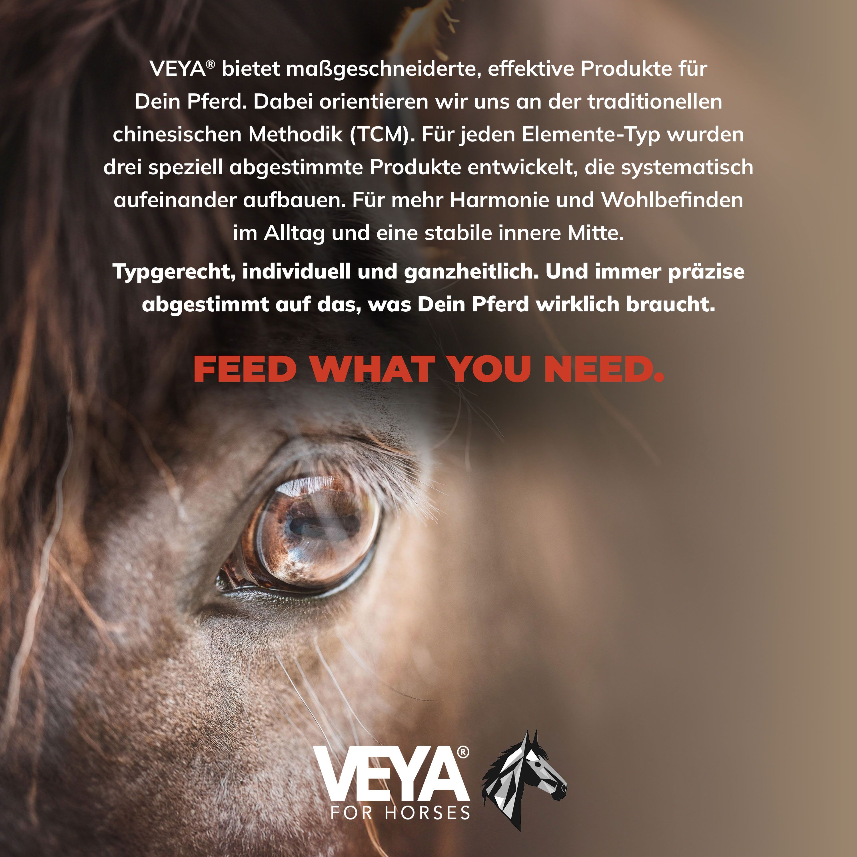 Nahaufnahme eines Pferdeauges. Text: FEED WHAT YOU NEED. Veya Logo und Text.