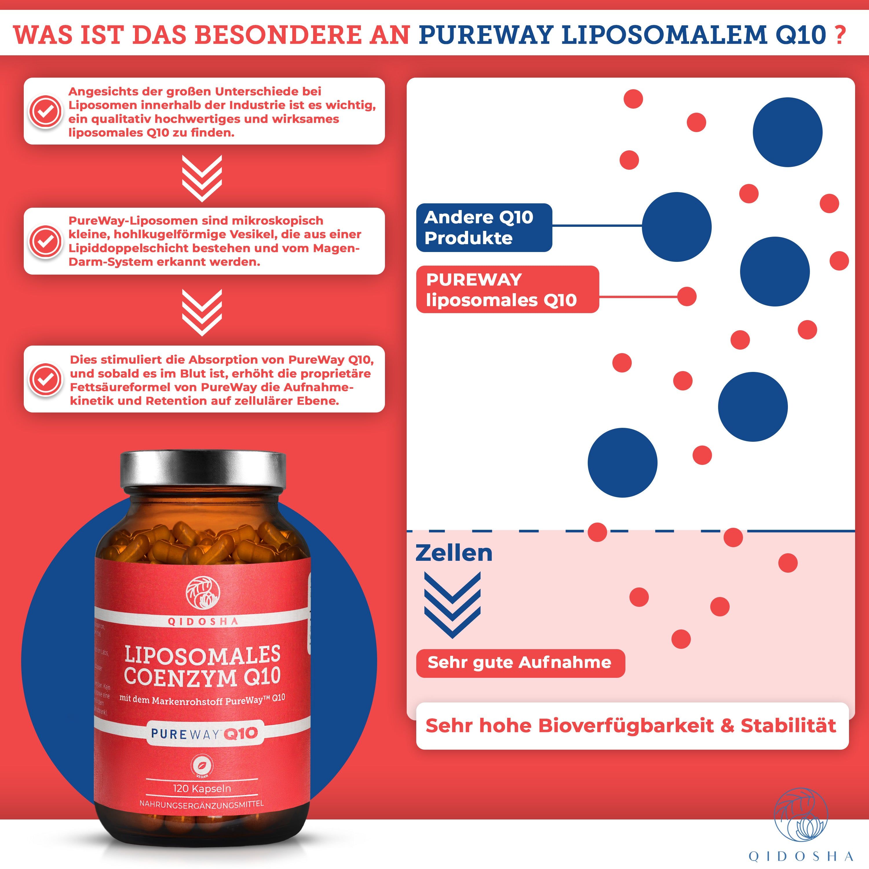 QIDOSHA Coenzym Q10 liposomal(PureWay™)
