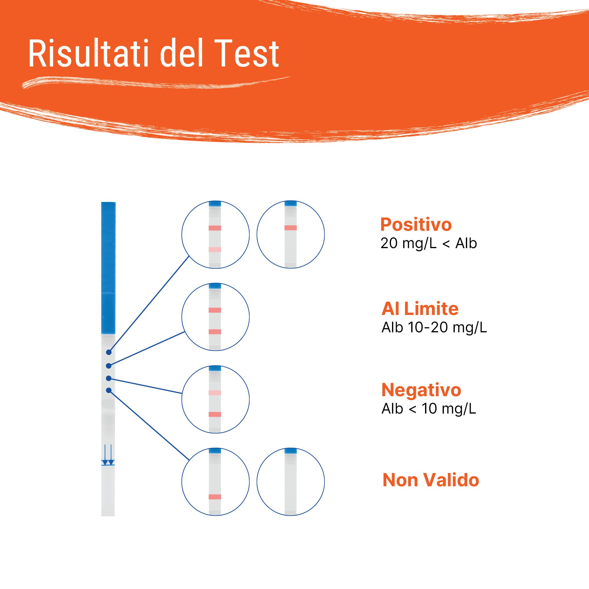 Testergebnisse des Patris Health® Nierenfunktions-Selbsttests: positiv, grenzwertig, negativ, ungültig.