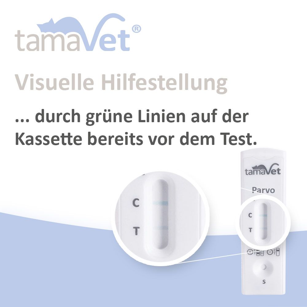 Nahaufnahme Teststreifen. Text: Visuelle Hilfestellung durch grüne Linien vor dem Test.