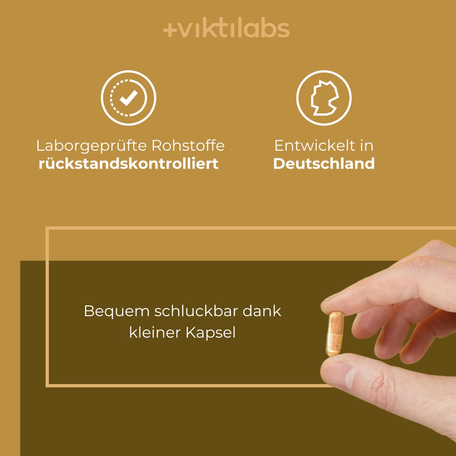 Viktilabs Premium Mandelpilz: Vitalpilz mit Vitamin C