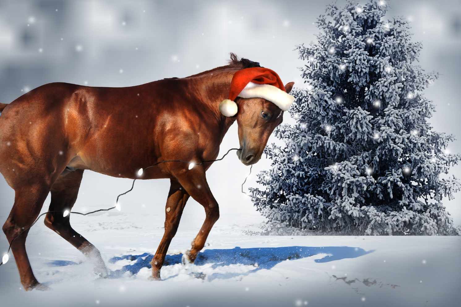 Ein braunes Pferd, das einen roten Weihnachtshut mit weißem Rand trägt, steht in einer verschneiten Landschaft neben einem Weihnachtsbaum. Das Pferd ist mit einer Lichterkette geschmückt.