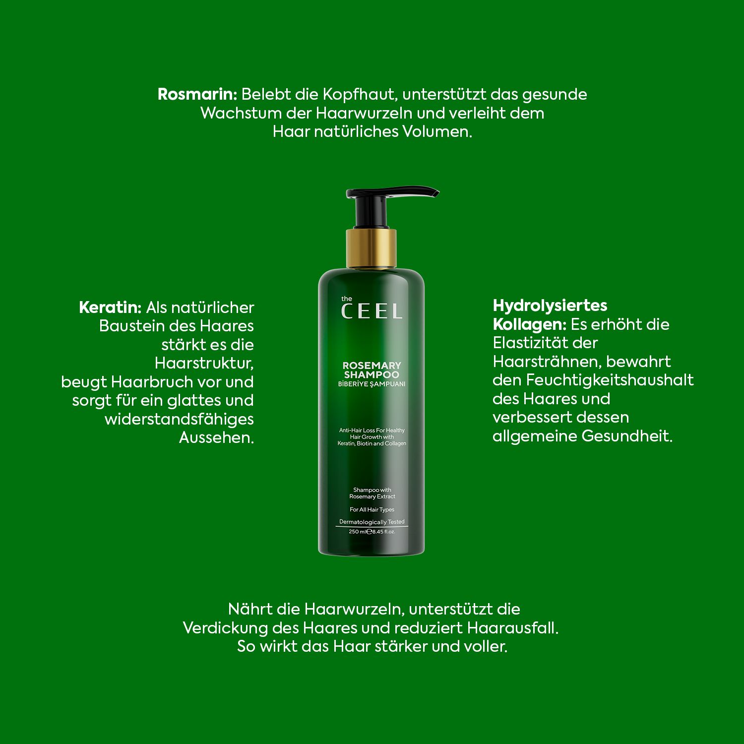 The Ceel | Rosemary Hair Shampoo