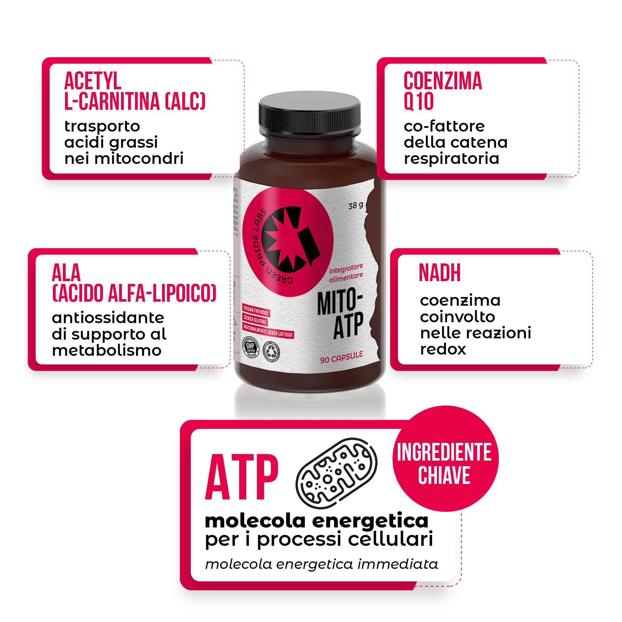 Dunkelbraune Flasche mit Kapseln, umgeben von Infografiken zu Inhaltsstoffen wie Acetyl-L-Carnitin, Coenzym Q10, NADH und ATP.