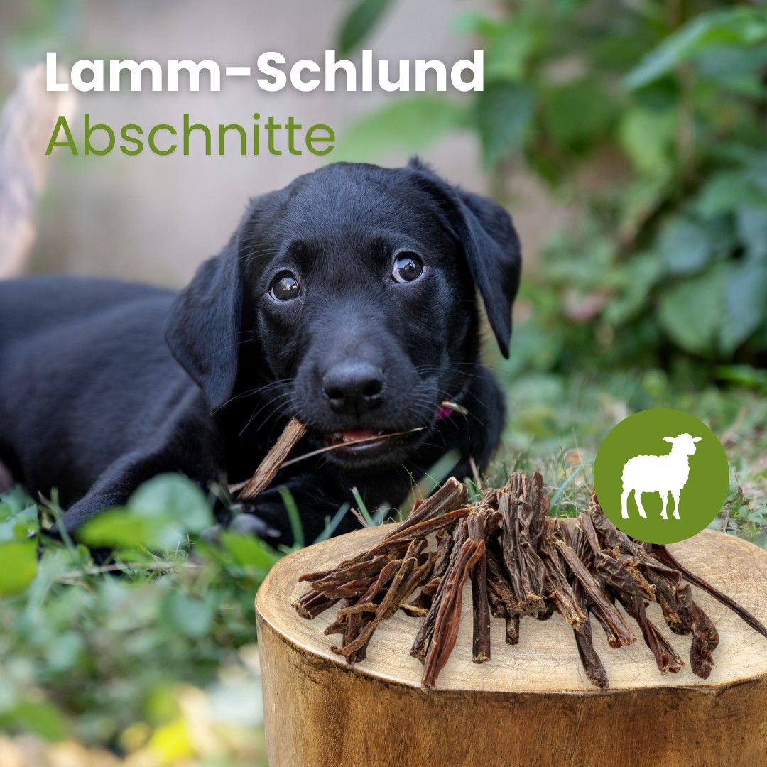 Getrocknete Lamm-Schlund-Abschnitte für Hunde. Ohne Zusatzstoffe, auch für sensible Hunde.