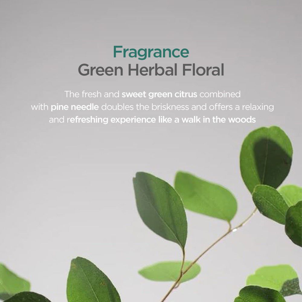 Ayunche Rebalancing Serum: Duftnote Grün Herbal Floral.