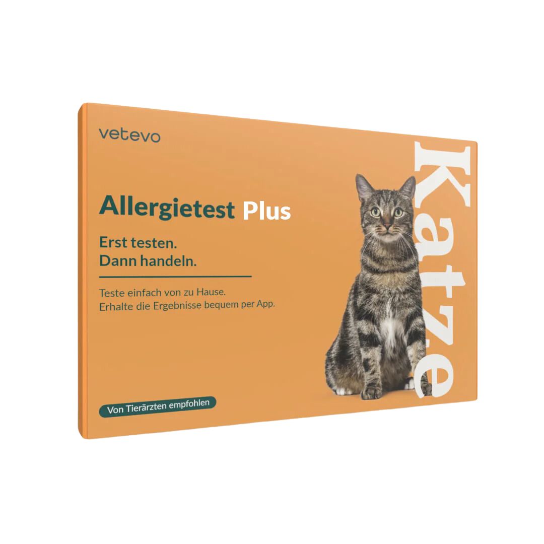 Allergietest Plus Katze