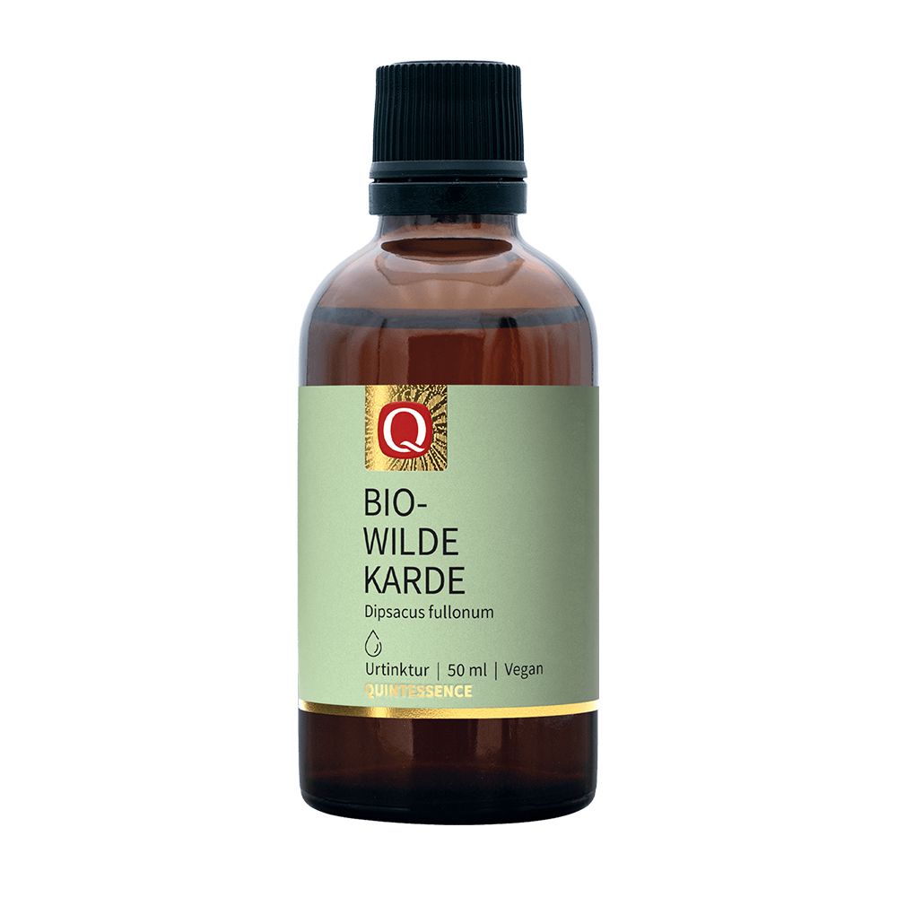 Quintessence Bio-Wilde Karde Urtinktur 50 ml Tropfen