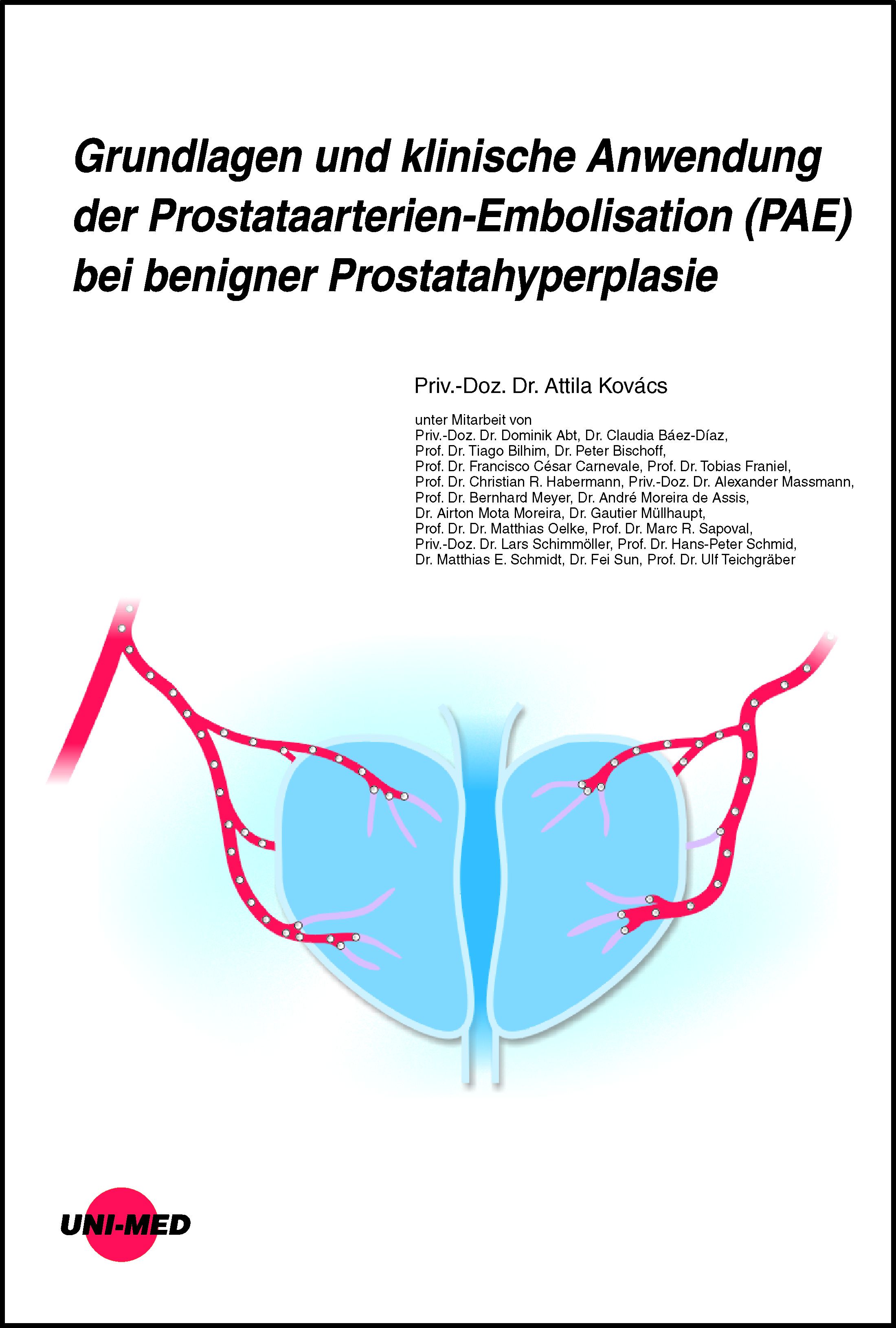Grafik: Darstellung der Prostata mit Arterien. Titel: Grundlagen und klinische Anwendung der PAE bei benigner Prostatahyperplasie.