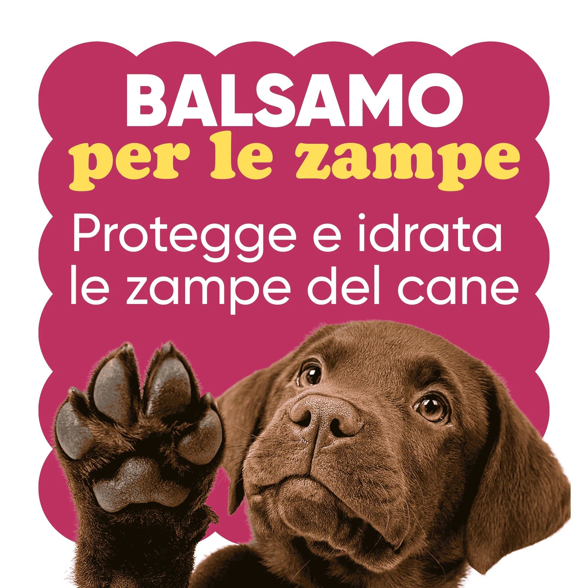 Text: Balsam für die Pfoten. Schützt und befeuchtet die Pfoten des Hundes. Ein Welpe hebt eine Pfote.