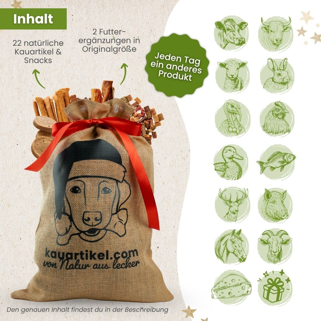 Ein Hund sitzt vor einem Weihnachtsbaum neben einem Sack mit Kauartikeln.