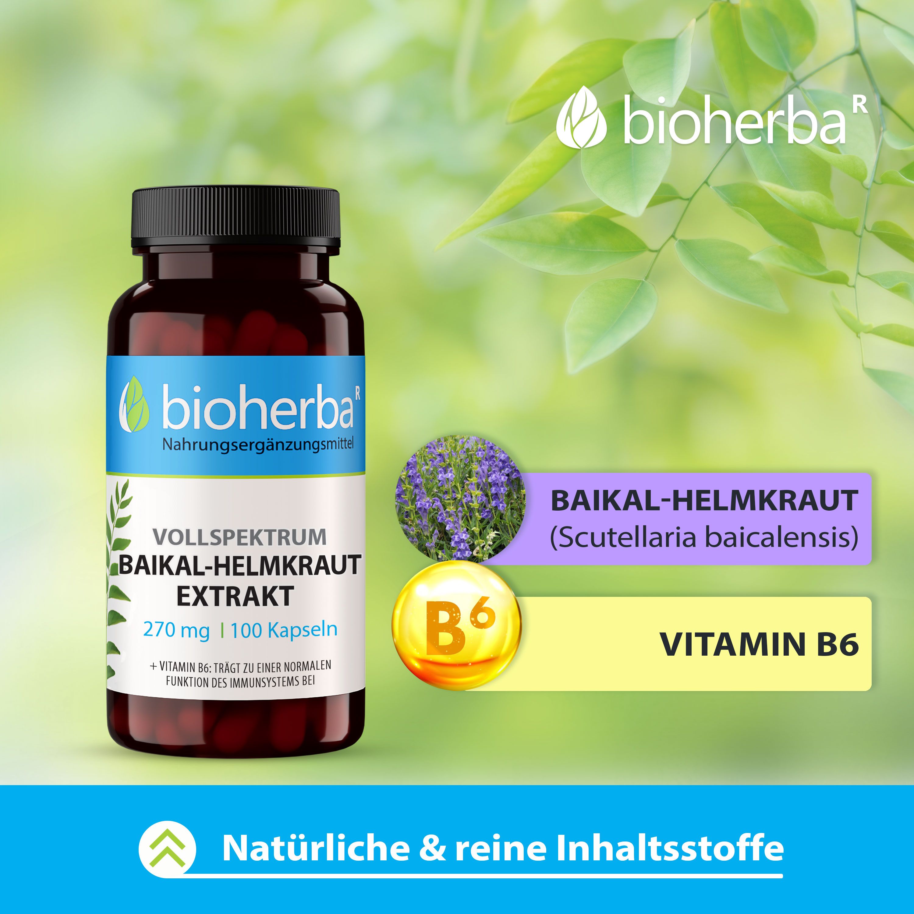 Bioherba Vollspektrum Baikal-Helmkraut Extrakt Kapseln