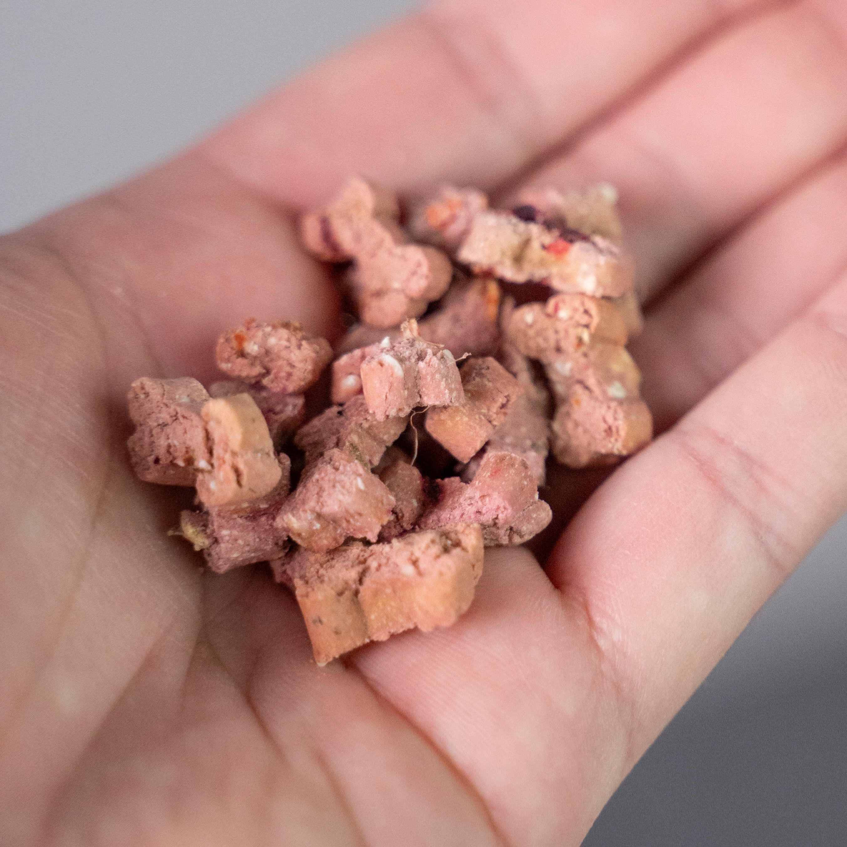 Hand, die eine kleine Menge rosa-brauner, sternförmiger Hundesnacks hält. Einige Snacks sind zerbrochen.