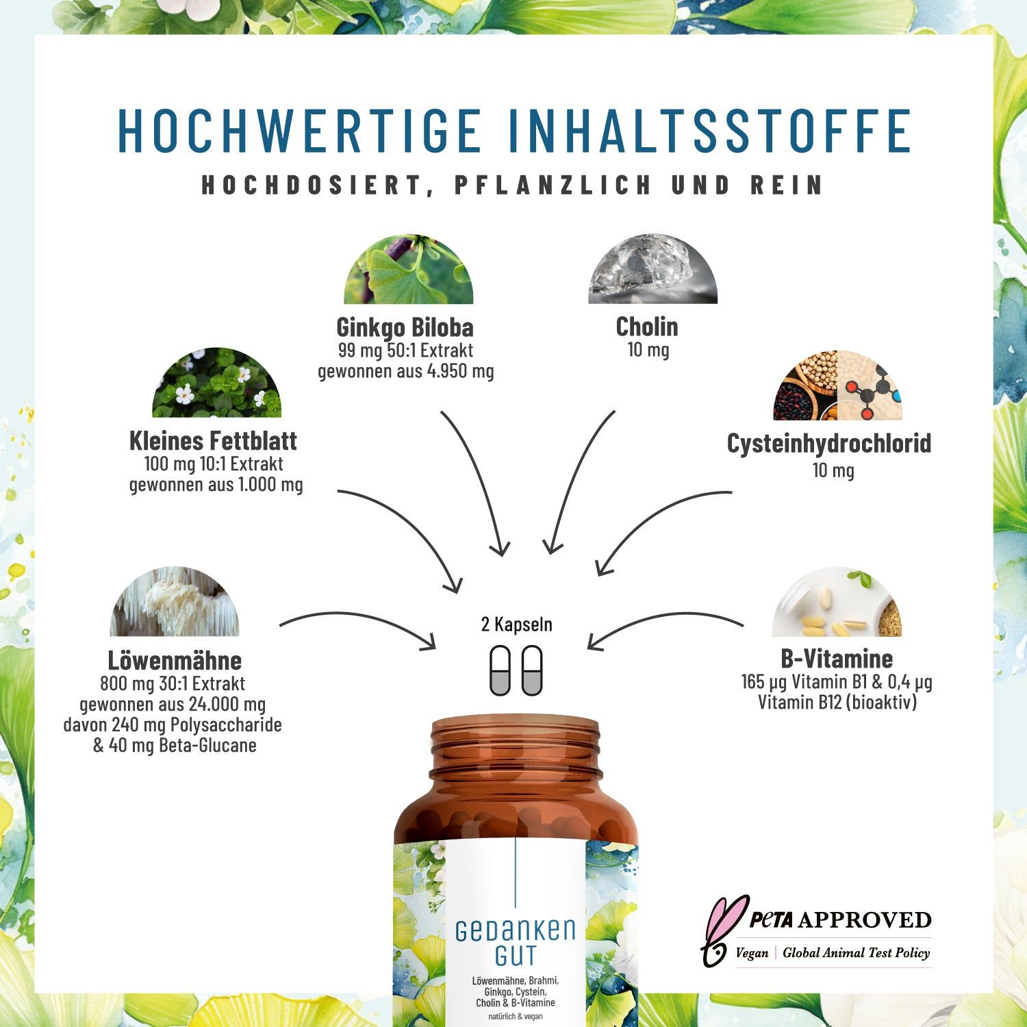 Gedächtnis-Komplex mit Löwenmähne, Ginkgo & L-Cystein - Gedankengut Naturtreu® 77 g Kapseln