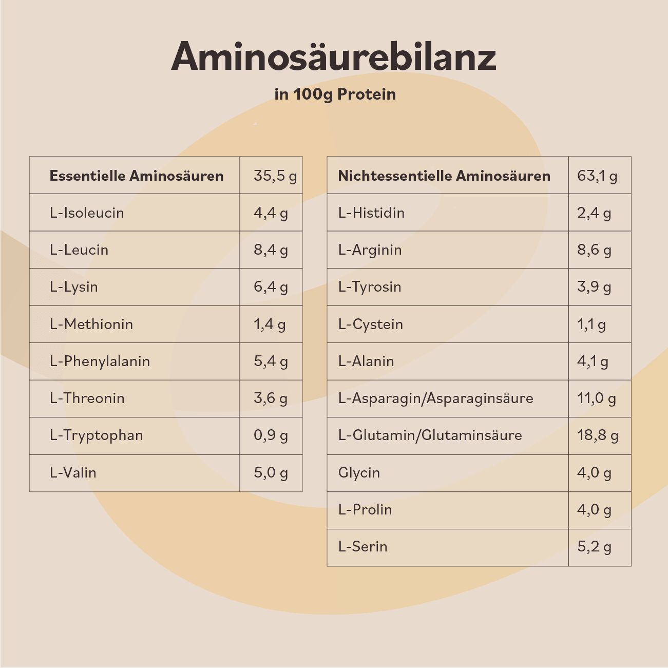 Eve Golden Chai Protein (vegan)