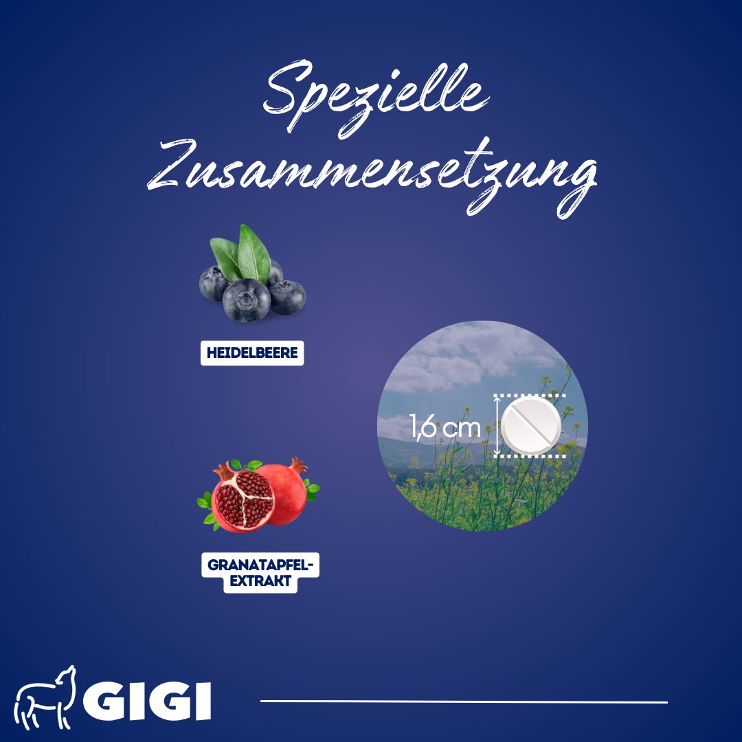 GIGI VET Magen & Darm Komfort Für große Hunde