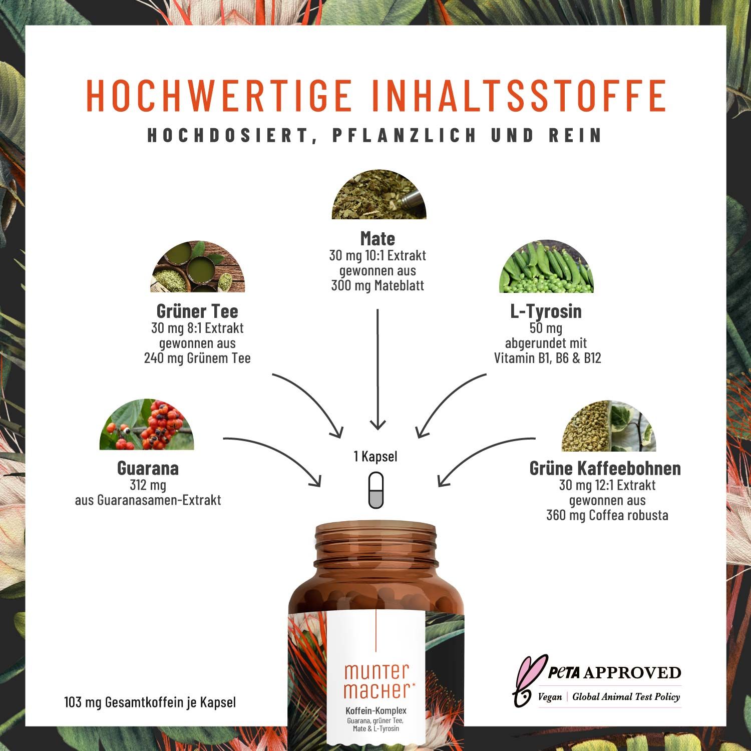 Koffein-Komplex mit Guarana, Mate, Grüner Tee, Grüner Kaffee & L-Tyrosin- Muntermacher - NATURTREU®