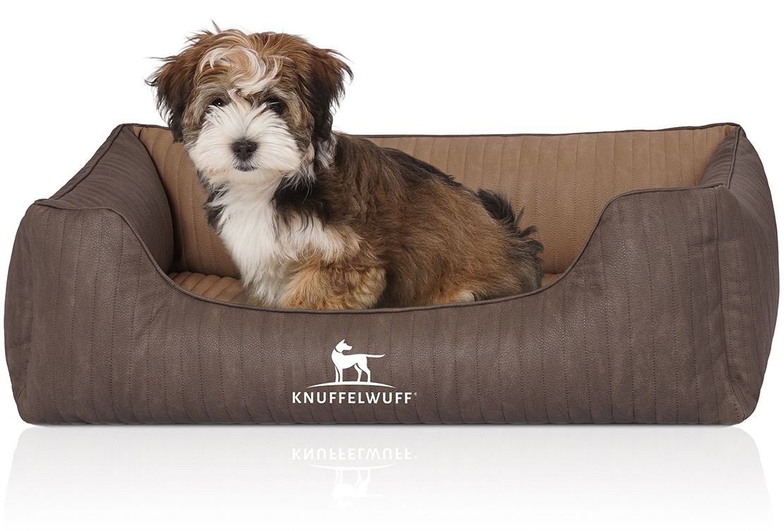 Hundebett Outlander mit Hund. Braunes Bett mit Logo. Kleiner Hund sitzt im Bett.