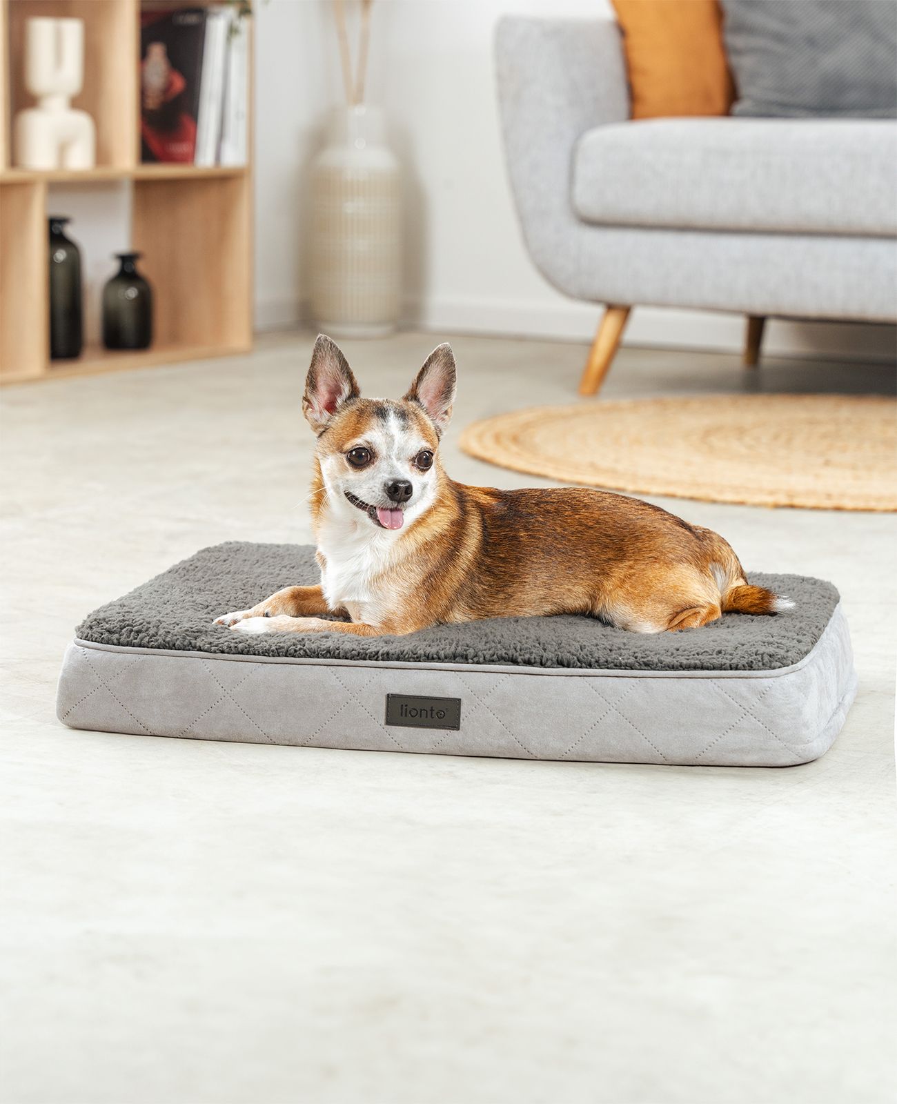 lionto orthopädisches Hundebett