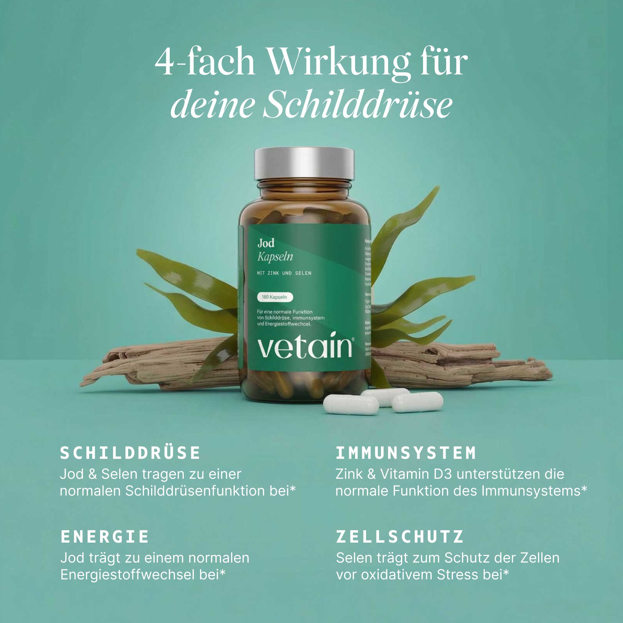 VETAIN Jod Komplex für Schilddrüse - mit Jod aus Bio-Kelp, Selen, Vitamin D3, Zink - 100% Vegan
